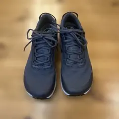 Item thumbnail for item 5bdc1d40-1698-426b-a8e0-02c72f3c382f