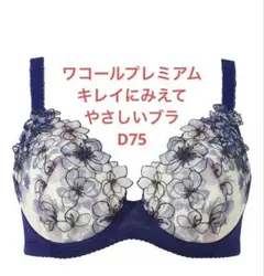 ワコールプレミアム　マタニティ授乳ブラD75