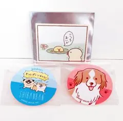 ぴよこ豆 しばんばん ステッカーセット