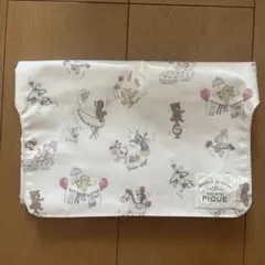 Item thumbnail for item c0a0e067-dffc-45f0-8c09-44cff5783db0