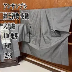 アンサンブル 紳士着物 羽織 大島紬 100亀甲 正絹 t238