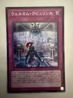 2026年最新】ウェルカムラビュリンスの人気アイテム - メルカリ