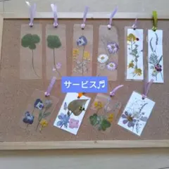 しおり⭐︎様 リクエスト 2点 まとめ商品 まある様 リクエスト 2点 まとめ商品 - メルカリ
