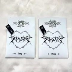 StrayKids スキズ dominATE stayzone チャンビン