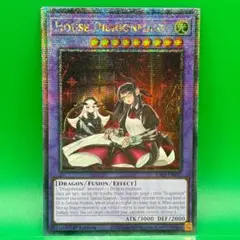 遊戯王 ドラゴンメイド・ハスキー 絵違い 25th BGS9.5 遊戯王 ドラゴンメイド・ハスキー 絵違い 25th BGS9.5 PSA - メルカリ