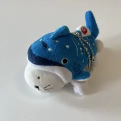 沖縄美ら海水族館×JAL しろたんジンベエジェットに変身　ぬいぐるみのサムネイル