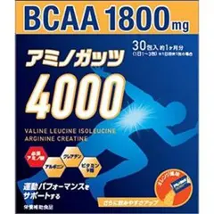 【送料無料】アミノガッツ4000 30包