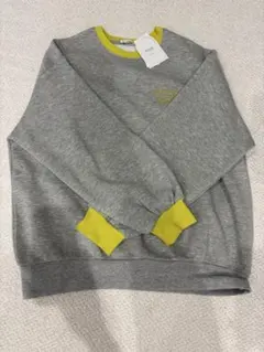 Item thumbnail for item a22fb6b9-e5df-447f-8e01-0e540152e189