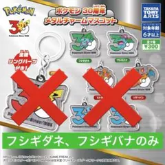 ポケットモンスター ✨️ポケモン30周年✨️ メタルチャームマスコット 2点セット
