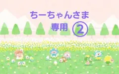 ちーちゃんさま専用