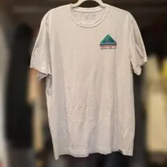 EddieBauer 古着Tシャツ L〜XLサイズ相当