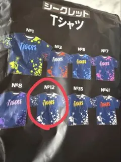 【おまけつき】阪神タイガース　坂本選手　ユニフォームのサムネイル