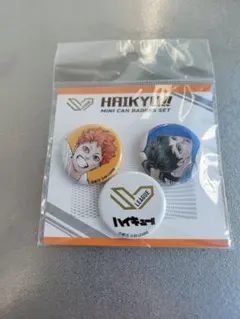 【新品未開封】 ハイキューSVリーグチャンピオンシップ限定 ミニ缶バッジセット