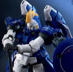プレバン限定】HG アルトロンガンダム ＆ RGトールギスII 2点セット
