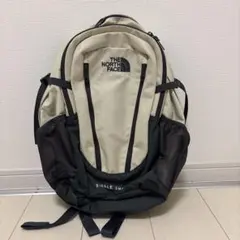 THE NORTH FACE バッグ リュック 23L SINGLE SHOT