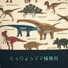 【くぅりょぅママ様専用】恐竜(ベージュ)×黒　両紐巾着2点