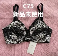 2025年最新】ダイアナ 下着 d75の人気アイテム - メルカリ