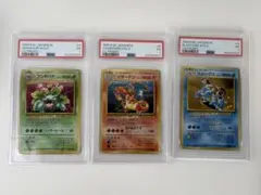 25th プロモ リザードン フシギバナ カメックス PSA10セット - メルカリ