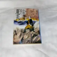 夏炎 風烈廻り与力・青柳剣一郎