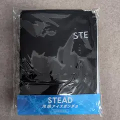 スノーピーク ピークシェイド peak shade 未使用 過冷却 ポンチョ