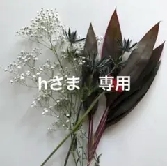 35✖️45 リバーシブル　ランチョンマット 2枚セット