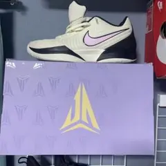 Nike JA2 (箱あり)