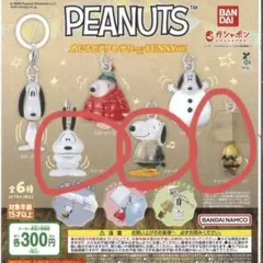 PEANUTS めじるしアクセサリー FUNNY ver. スヌーピー3つセット