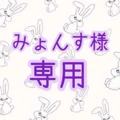 みょんす様オーダーページ