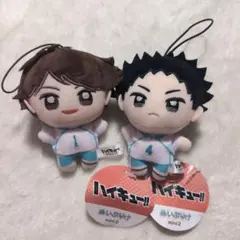 ハイキュー‼︎ ぬいぷりけmini2 及川徹　岩泉一