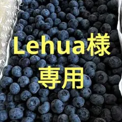 ✪大粒生ブルーベリー1kg✪クール便のサムネイル