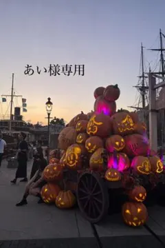 あい様専用ページ