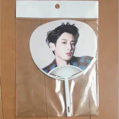 【新品、未使用】EXO チャニョル ミニうちわ