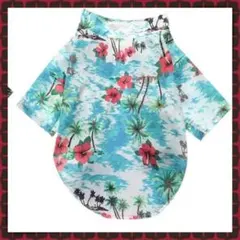 Item thumbnail for item 3699551e-a245-45d8-b05b-93bfbe1d09f3