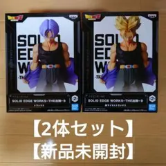 SOLID EDGE WORKS-THE出陣-9 トランクス 2体セット