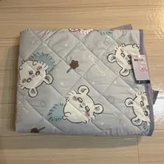 新品 ポケモン冷感敷きパッド ドオー・ヌオー・ウパー ①ベージュ