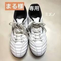 ミズノ MIZUNO モナルシーダネオ トレーニングシューズ 24.5