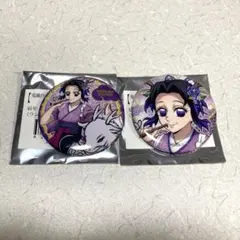 2025年最新】胡蝶しのぶ 辰年 缶バッジの人気アイテム - メルカリ