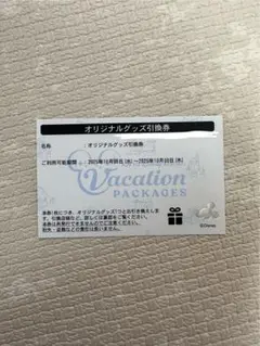 2025年最新】ディズニーバケーションパッケージ引換券の人気