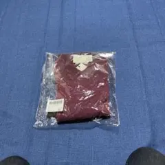 ユナイテッドアローズ　メンズVネックカシミアニット新品！