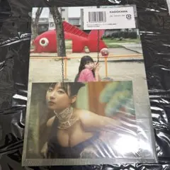 パクジニョン 3rd Anniversary ぬいぐるみ - メルカリ