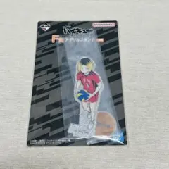 【匿名配送】ハイキュー 一番くじ 最強の挑戦者