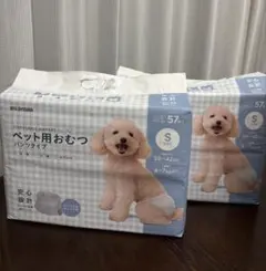 Item thumbnail for item 8406429c-895f-48af-ba37-1bf293be042a