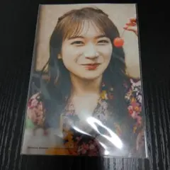 Item thumbnail for item 156c6161-3598-4cf7-af65-fa4cd1a84dd1