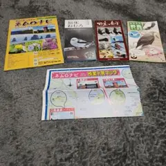 ネムロガイド 地図付き