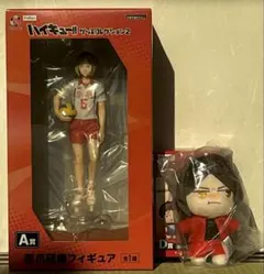 ハイキュー!! フリューくじ 孤爪研磨 A賞フィギュア＋D賞ぬいぐるみマスコット