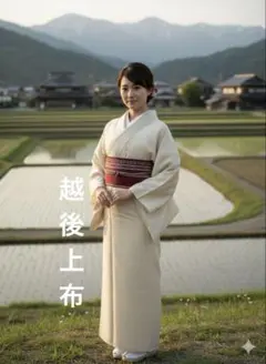 夏着物 付下げ 生紬 しょうざん 絞り染め入り 4点フルセット S〜M 