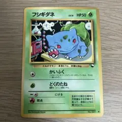 ポケモンカード　旧裏　フシギダネ　イントロパック
