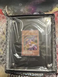 ブラック・マジシャン・ガール ステンレス製 SPECIAL CARDのサムネイル