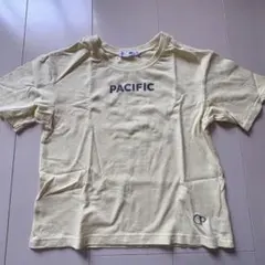 Item thumbnail for item 1c5a444b-b929-49c0-a626-8f5912e123ed