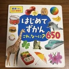 【良品】はじめてずかん これ、な〜に？ 650 絵本のサムネイル